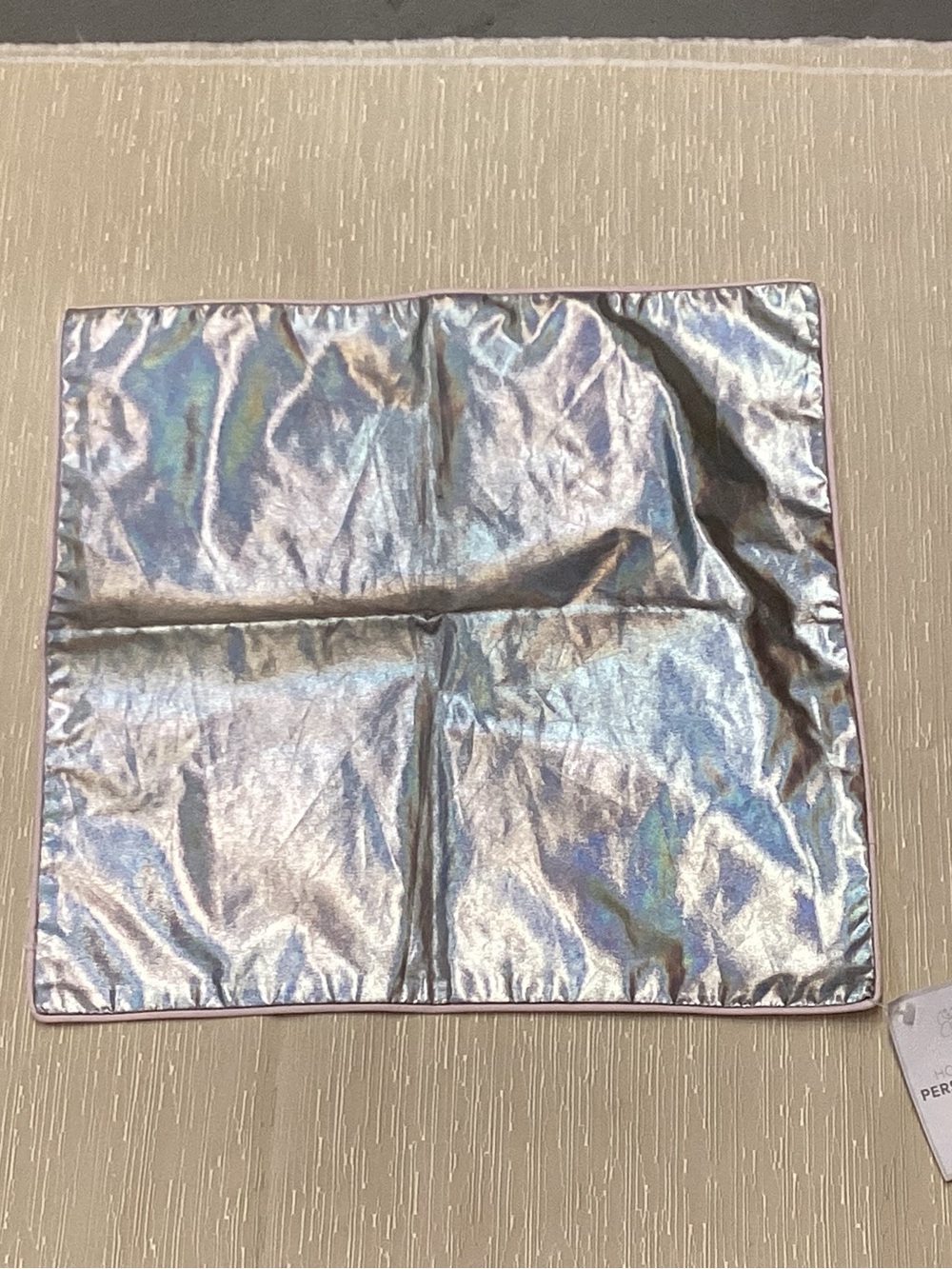 BNWT Pottery Barn Kids Iridescent Metallic Square pillow cover